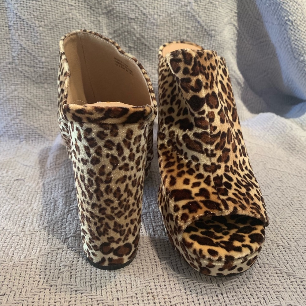 Shellys London - Picture 3 of 4